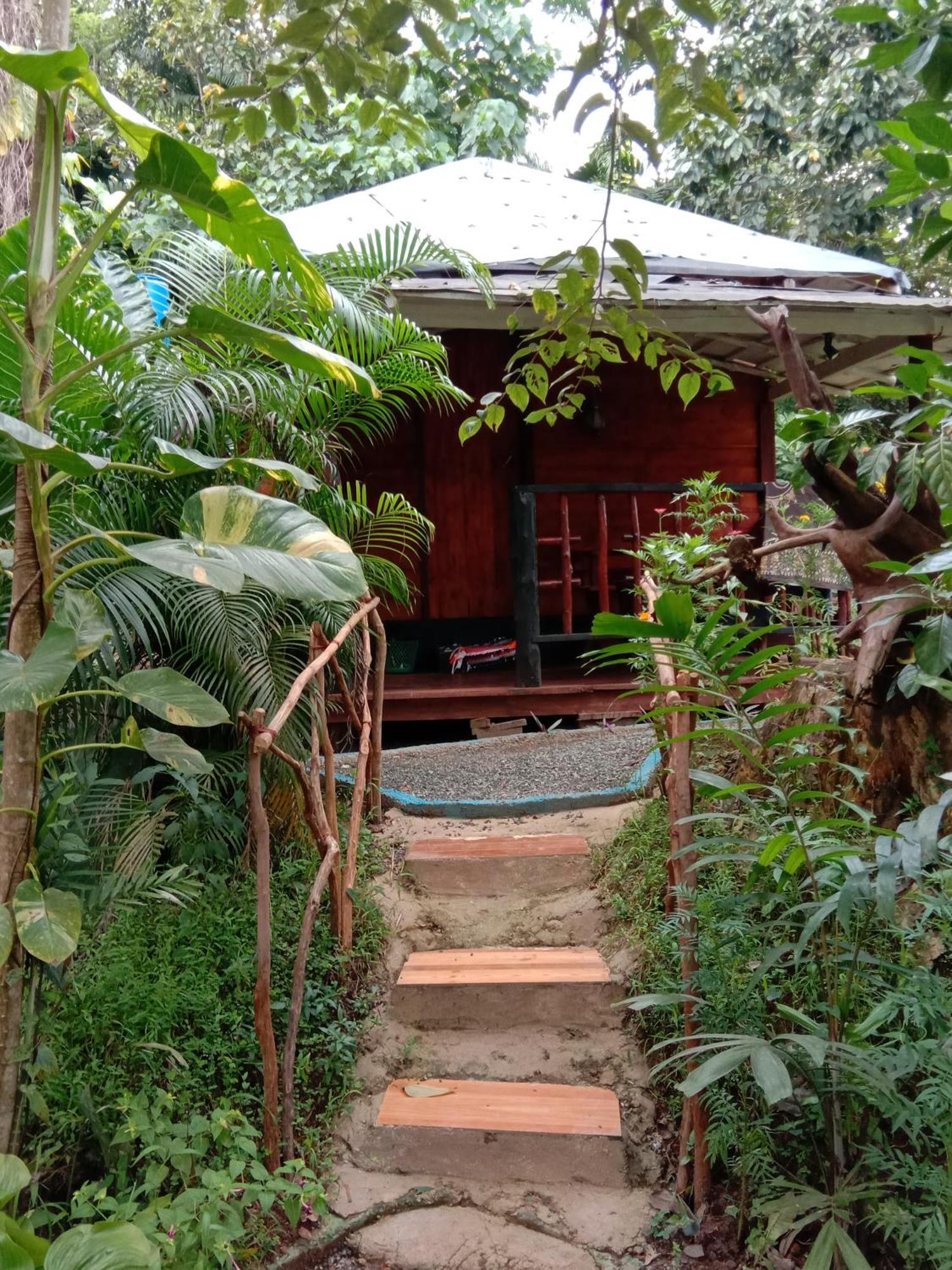 My House Ahangama Zimmer foto