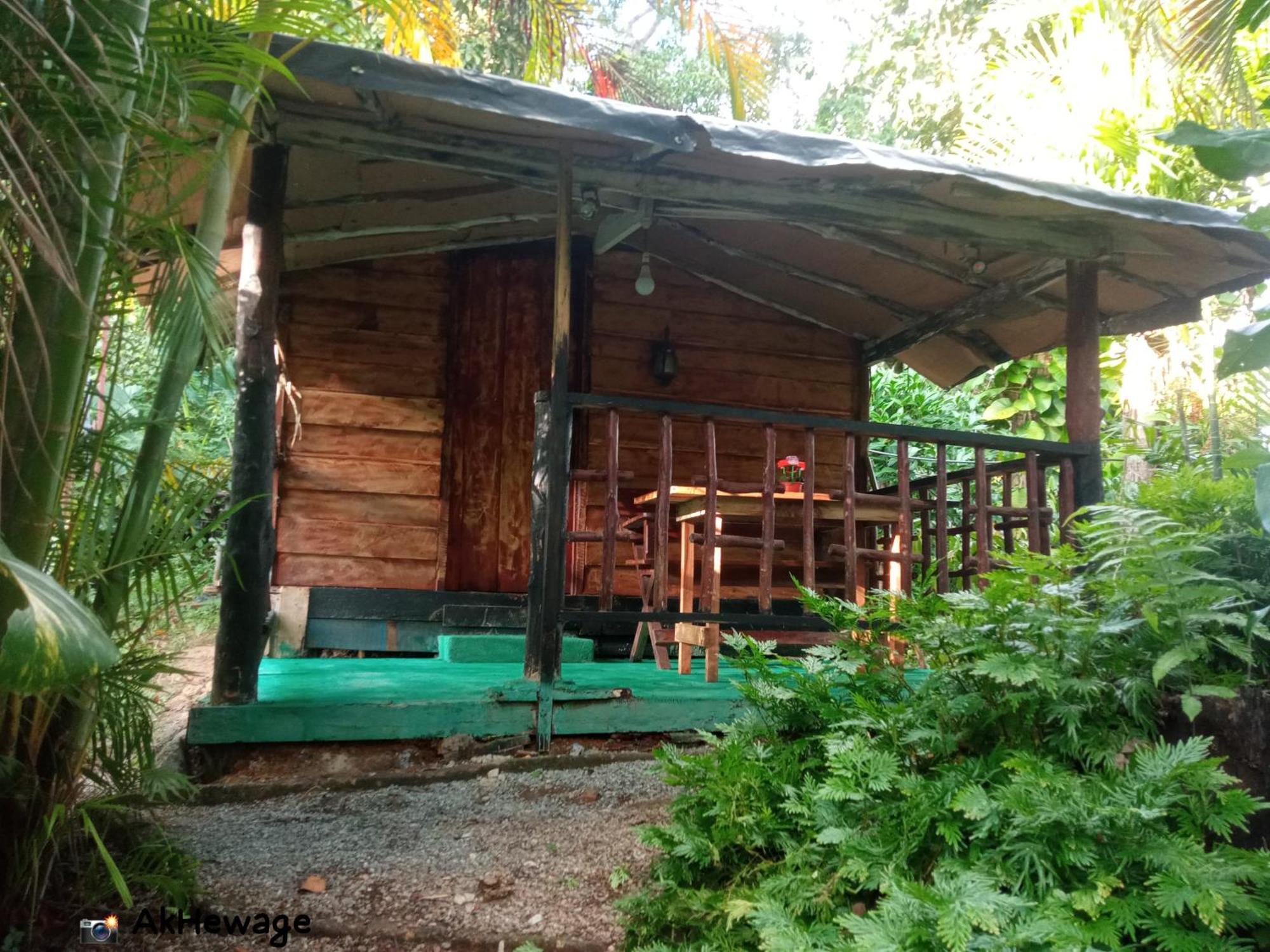 My House Ahangama Zimmer foto