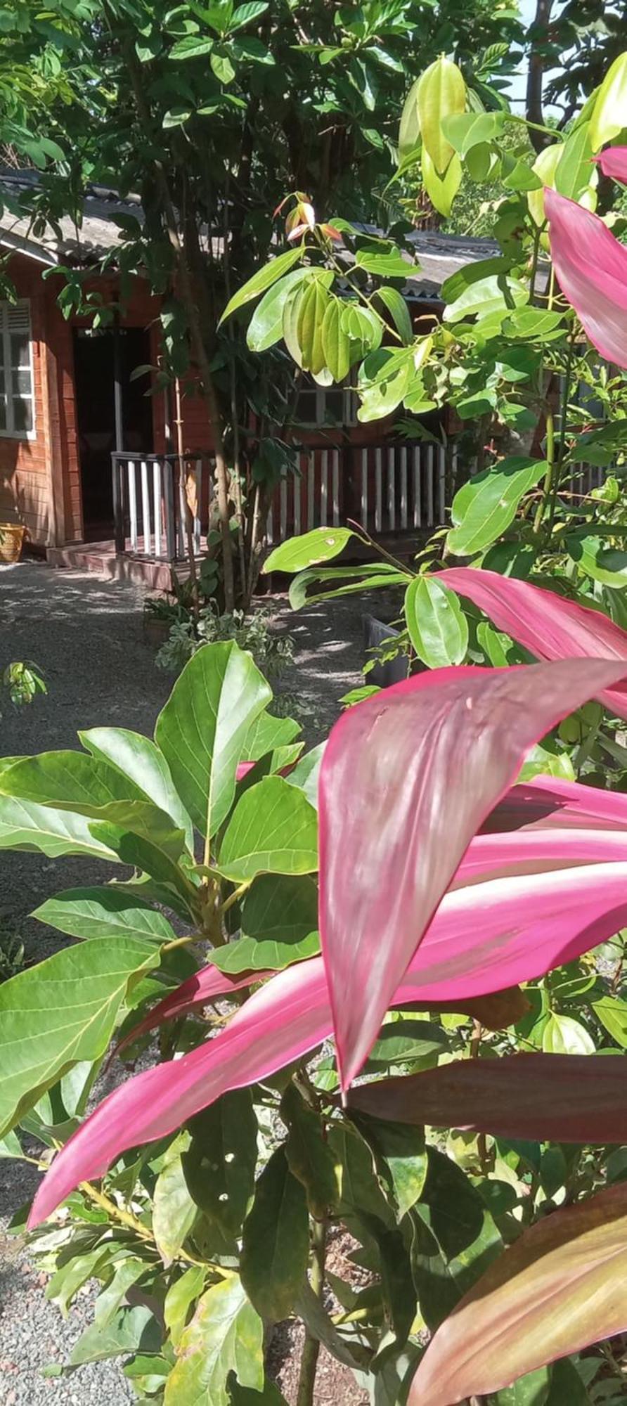 My House Ahangama Exterior foto